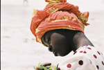 Zanzibar